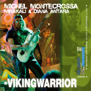 Vikingwarrior