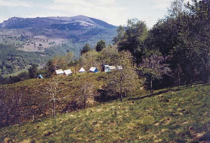 Young Mirapuri: tent-colony